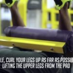 360CUT The Proper Form Leg Curls