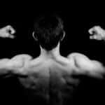 Back Workouts with Dumbbells