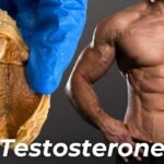 Does Testosterone Increase Size Understanding How It Affects