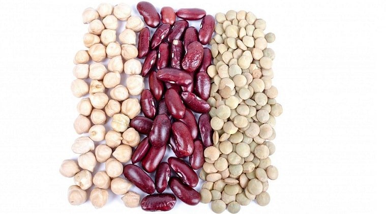 Grains and seeds