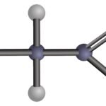 What Is an Amino Acid