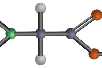 What Is an Amino Acid