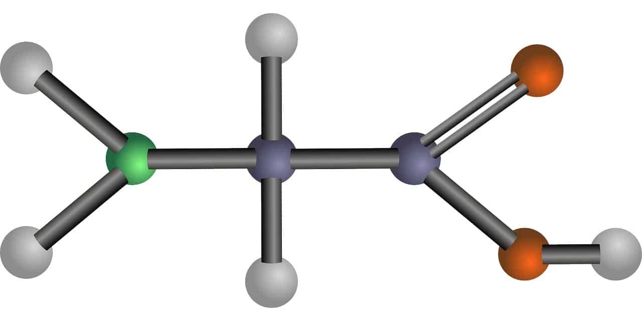 What Is an Amino Acid