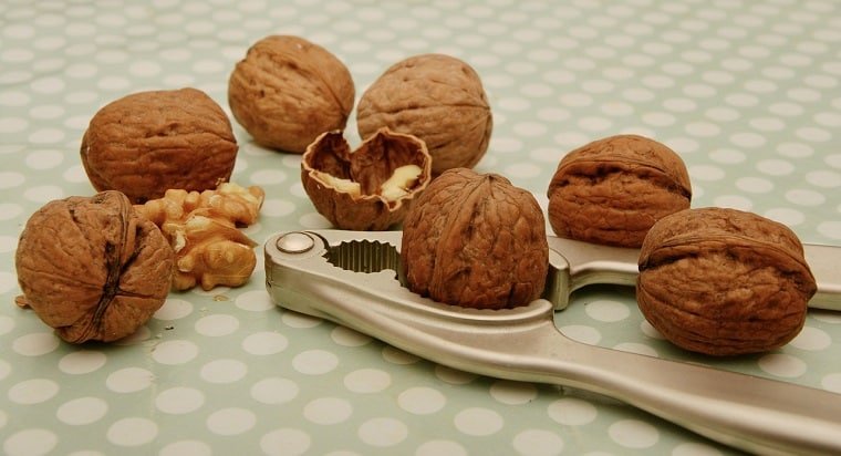Oats and Nuts