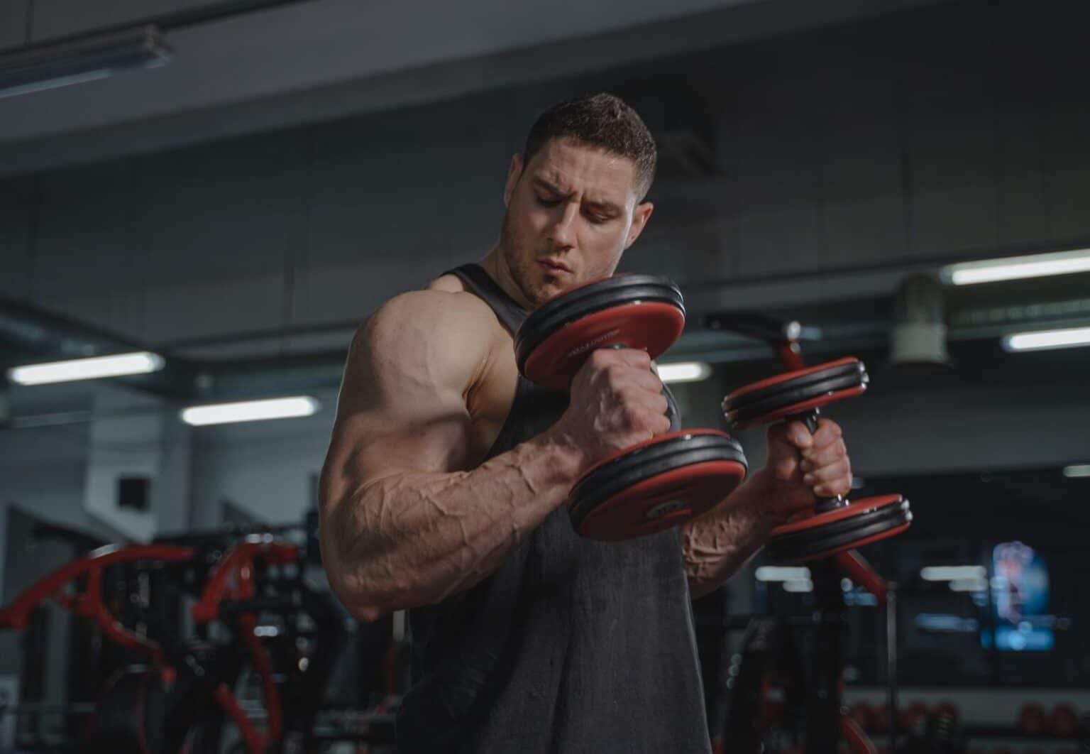 Compound Vs Isolation Exercises: How to Pick the Right One - Fitness - fitness and muscle building