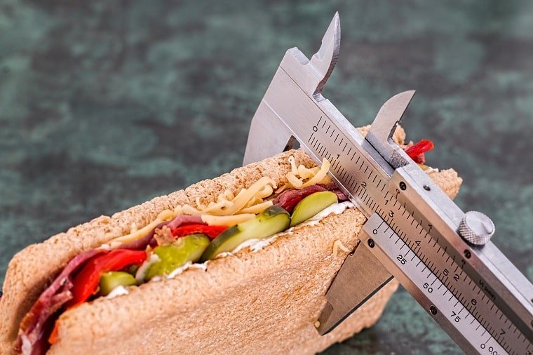 focus on is the diet