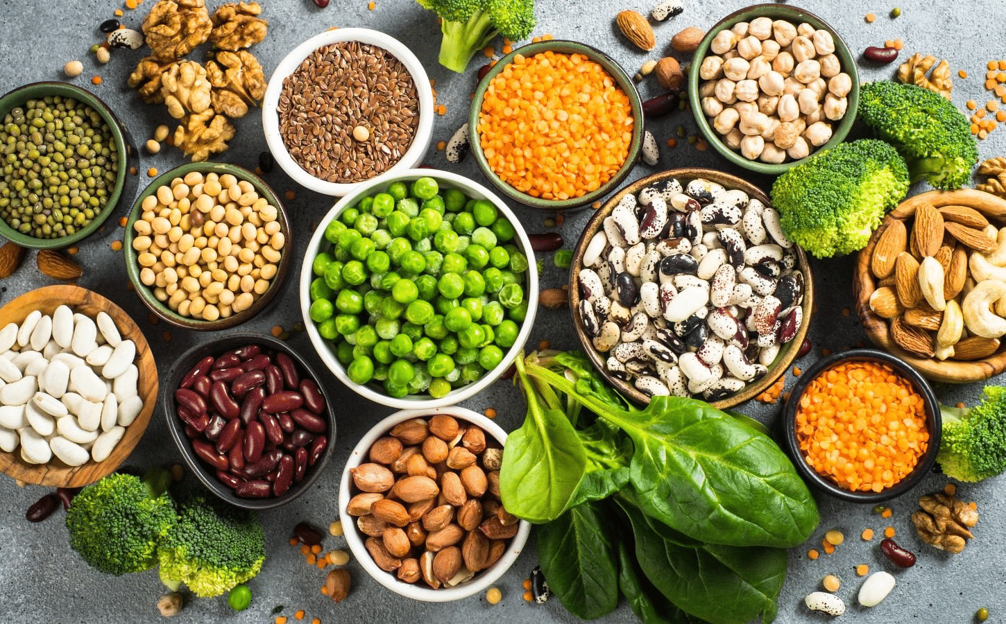 plant-based protein