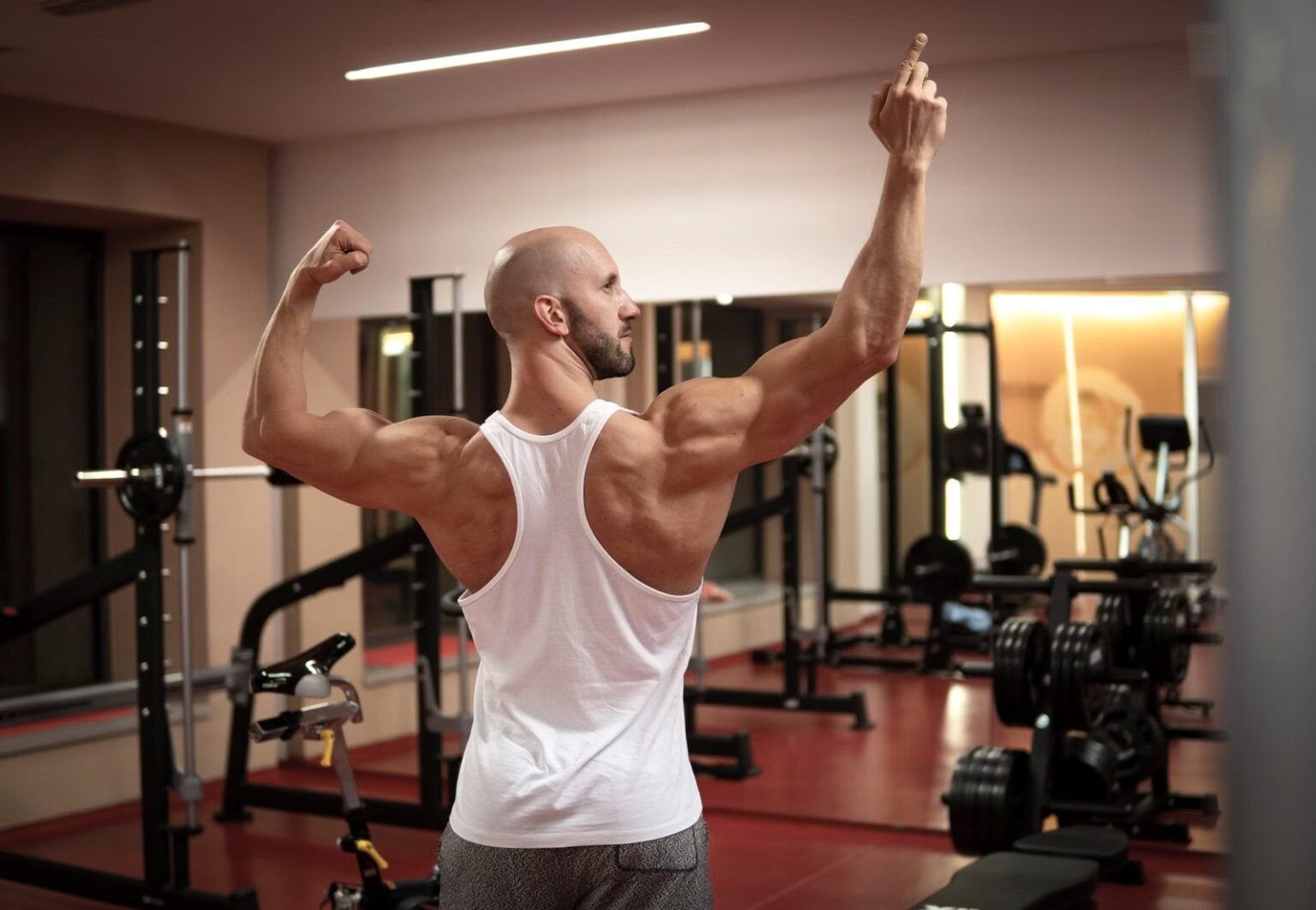 What Makes Back Workout Worth Ordering Again - BACK WORKOUTS - fitness and muscle building