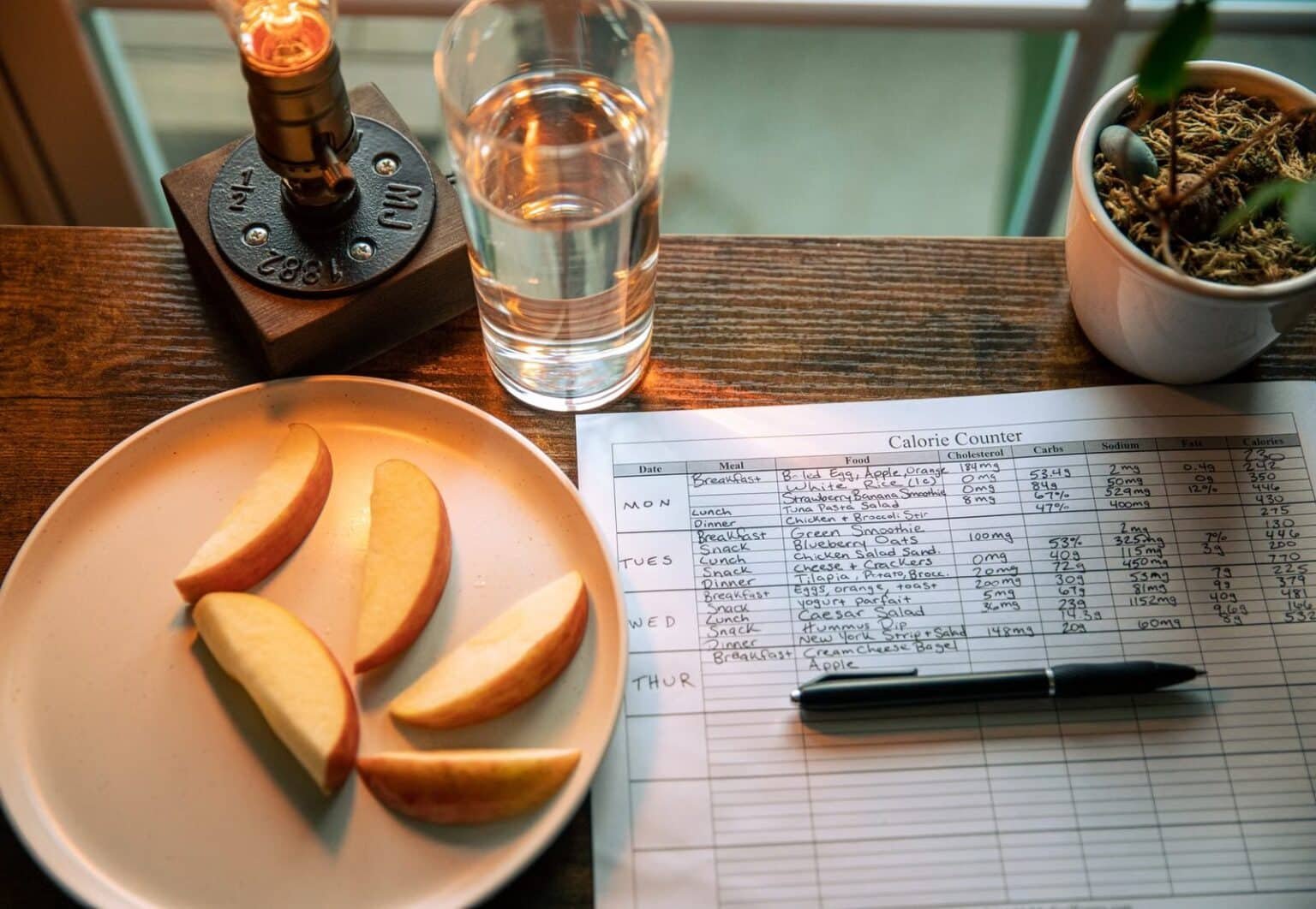 What to Check Before You Order Muscle Building Diet Plan - Fitness - fitness and muscle building